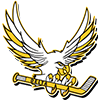 Hockey Concordes Delta Laval